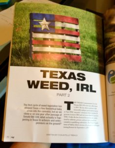 texas weed 1