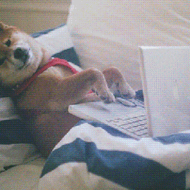 Is Your Porn Watching You? – New Piece on UPROXX Is Your Porn Watching You? – New Piece on UPROXX