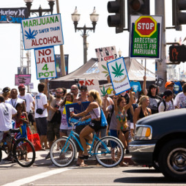Branded Designer Weed Strains – New Piece on UPROXX Branded Designer Weed Strains – New Piece on UPROXX